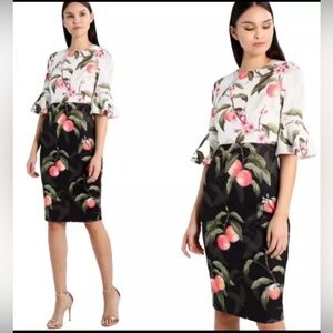 Ted Baker London Areea Dress in Peach Blossom Print